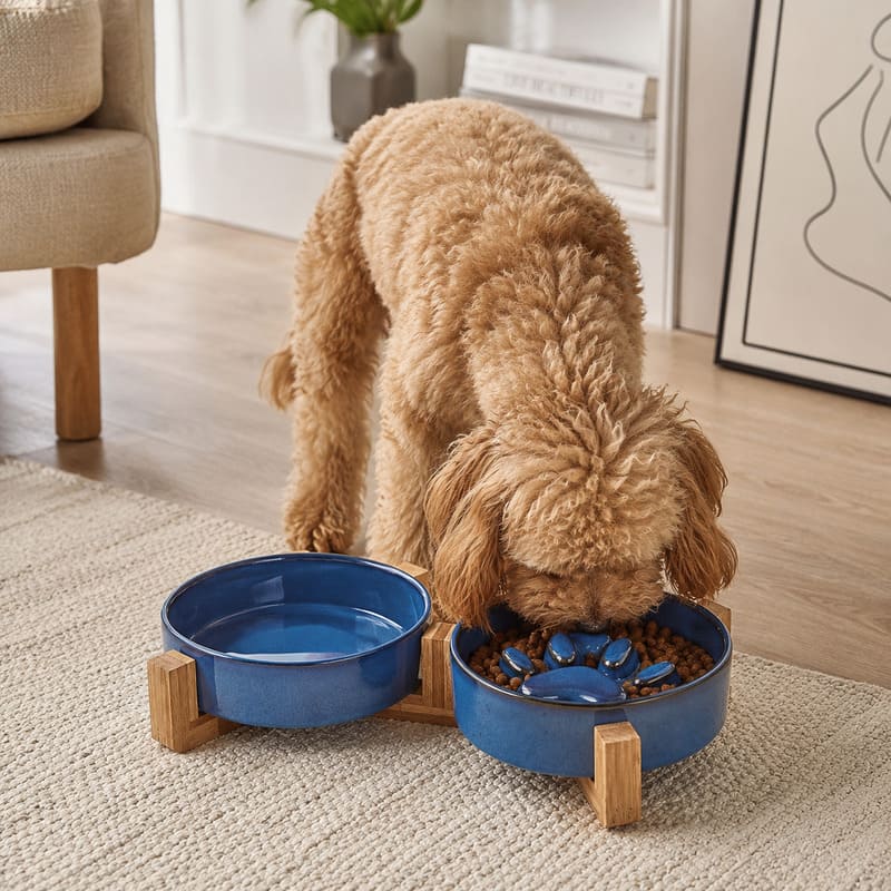 Pet feeding supplies for wholesale sourcing
