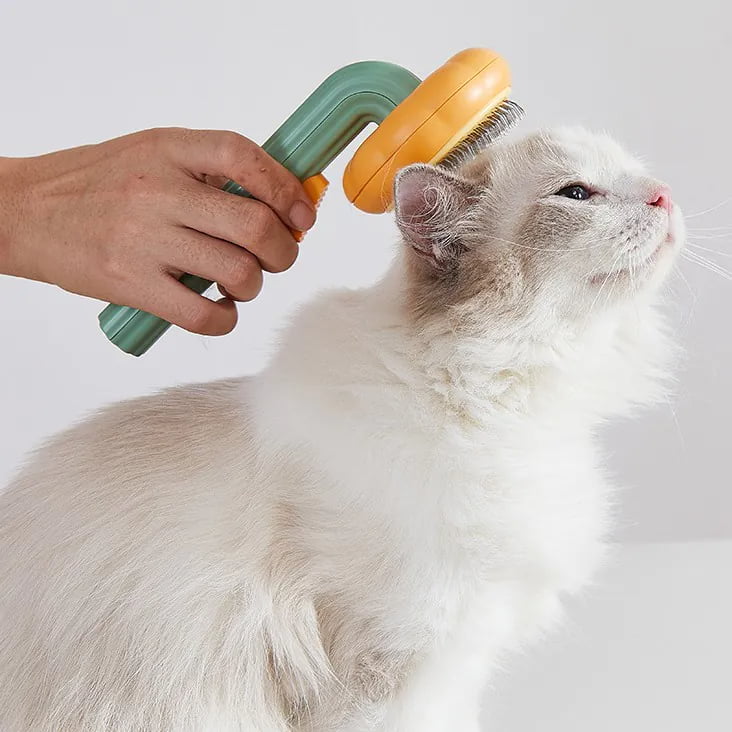 Pet grooming supplies for wholesale pet product buyers