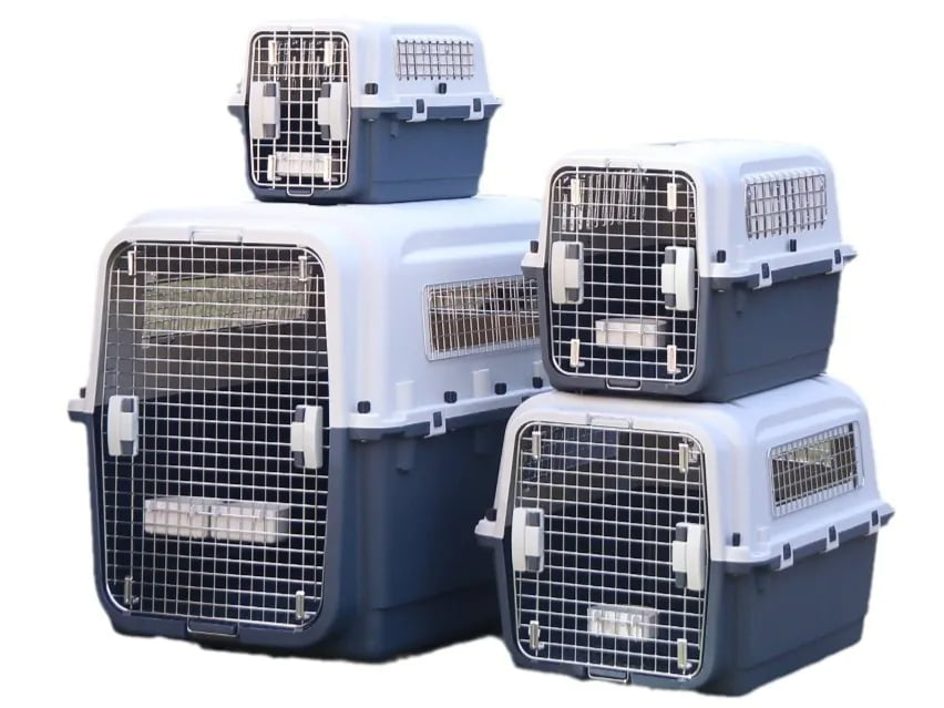 Pet carrier products for wholesale sourcing