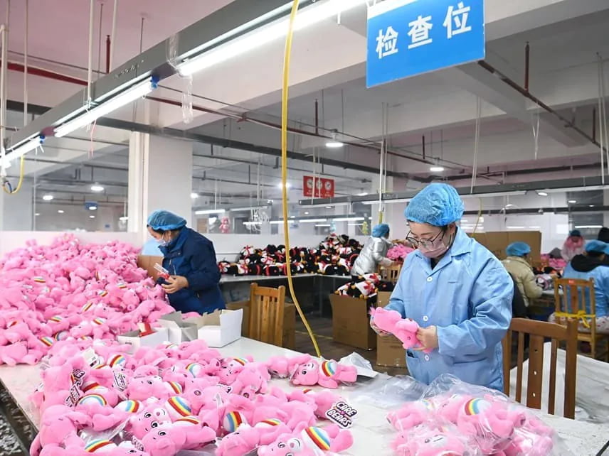 Custom pet products inspection before shipment