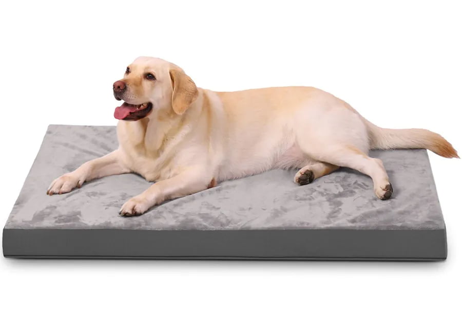 pet beds for wholesale pet home comfort product lines