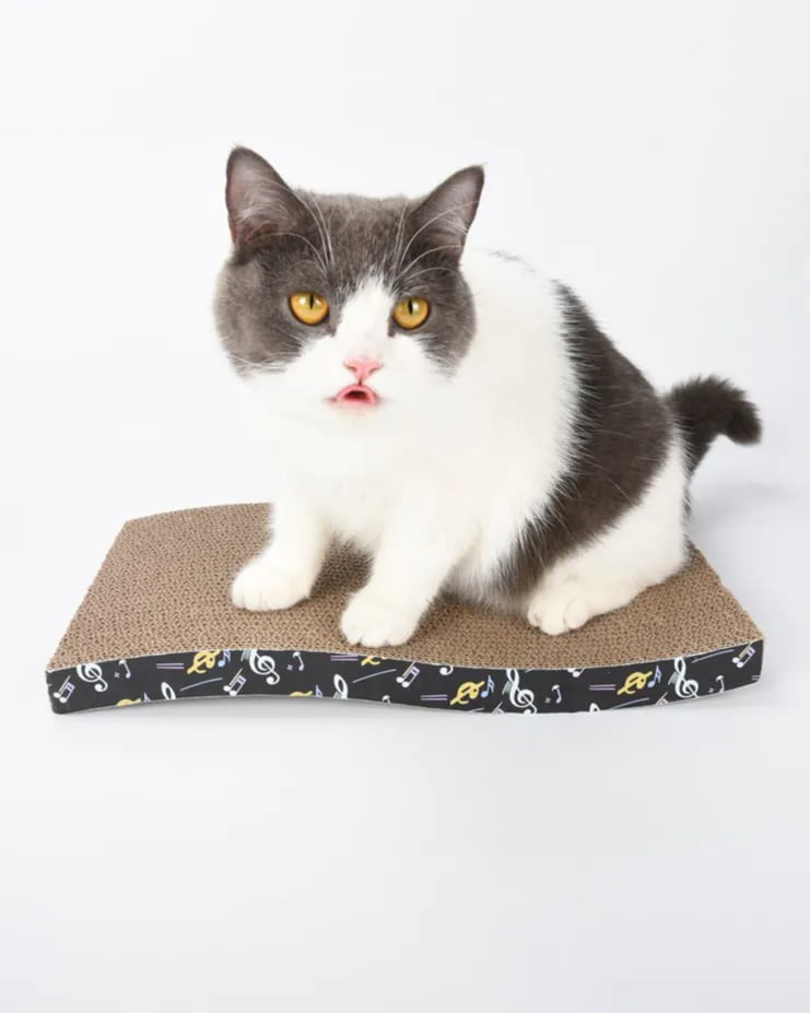 Cat scratcher toys and scratching products for wholesale sourcing