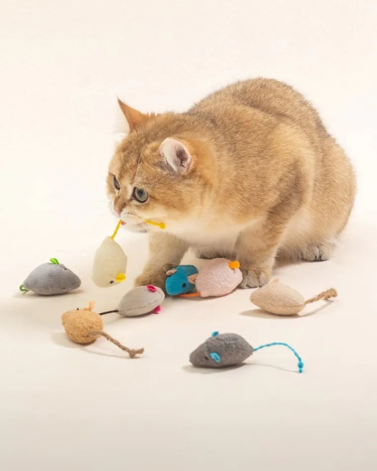 Wholesale catnip plush toys for cat toy assortments