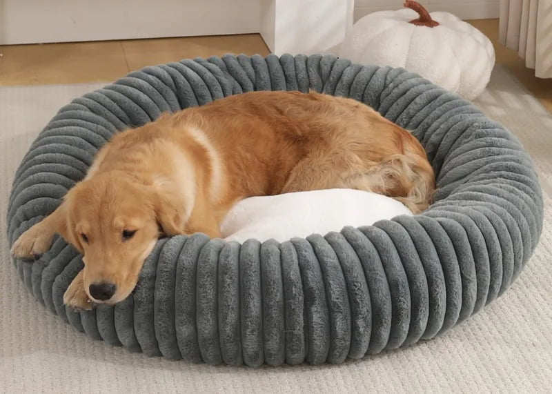 Wholesale Pet Home Essentials