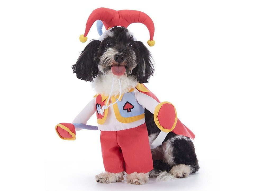 Wholesale pet costumes for seasonal pet apparel programs