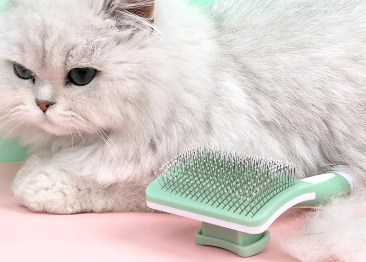 Wholesale Pet Grooming Supplies