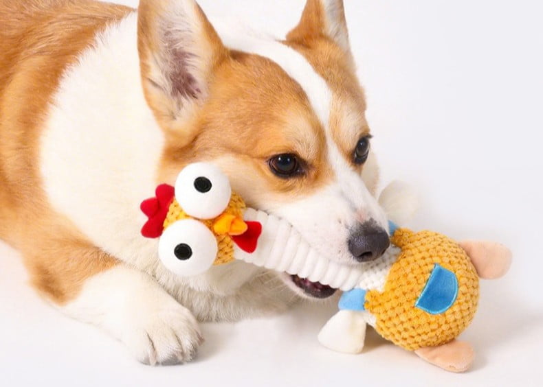 Wholesale Dog Toys
