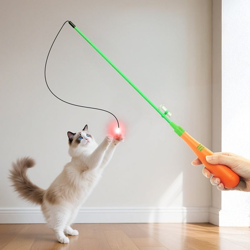 Cat laser toy with accessories