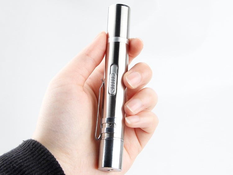 Hand holding a silver cat laser pointer