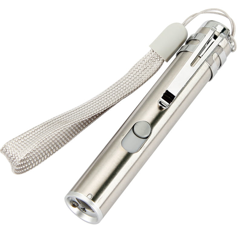 Handheld laser pointer for cats