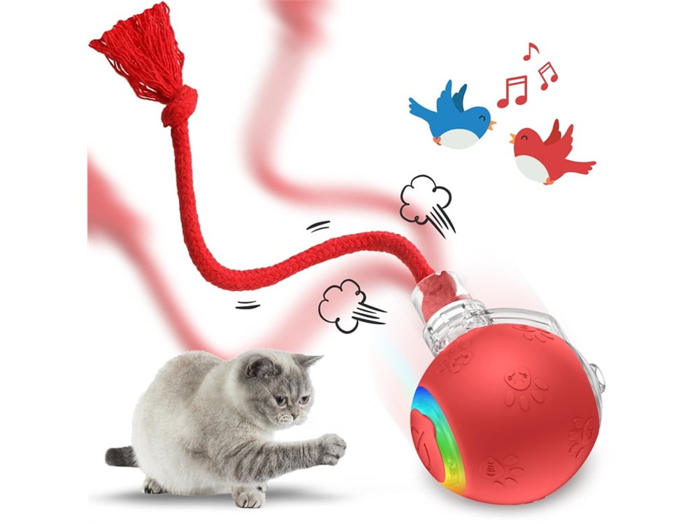 Automatic cat ball toys for wholesale product selection