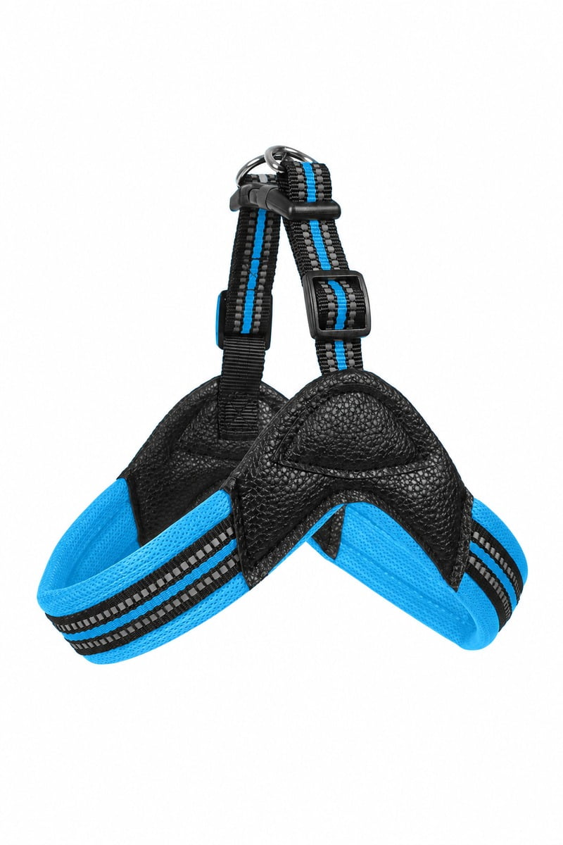 Blue and black pet harness showing two padded leg openings, adjustable straps and top attachment rings.