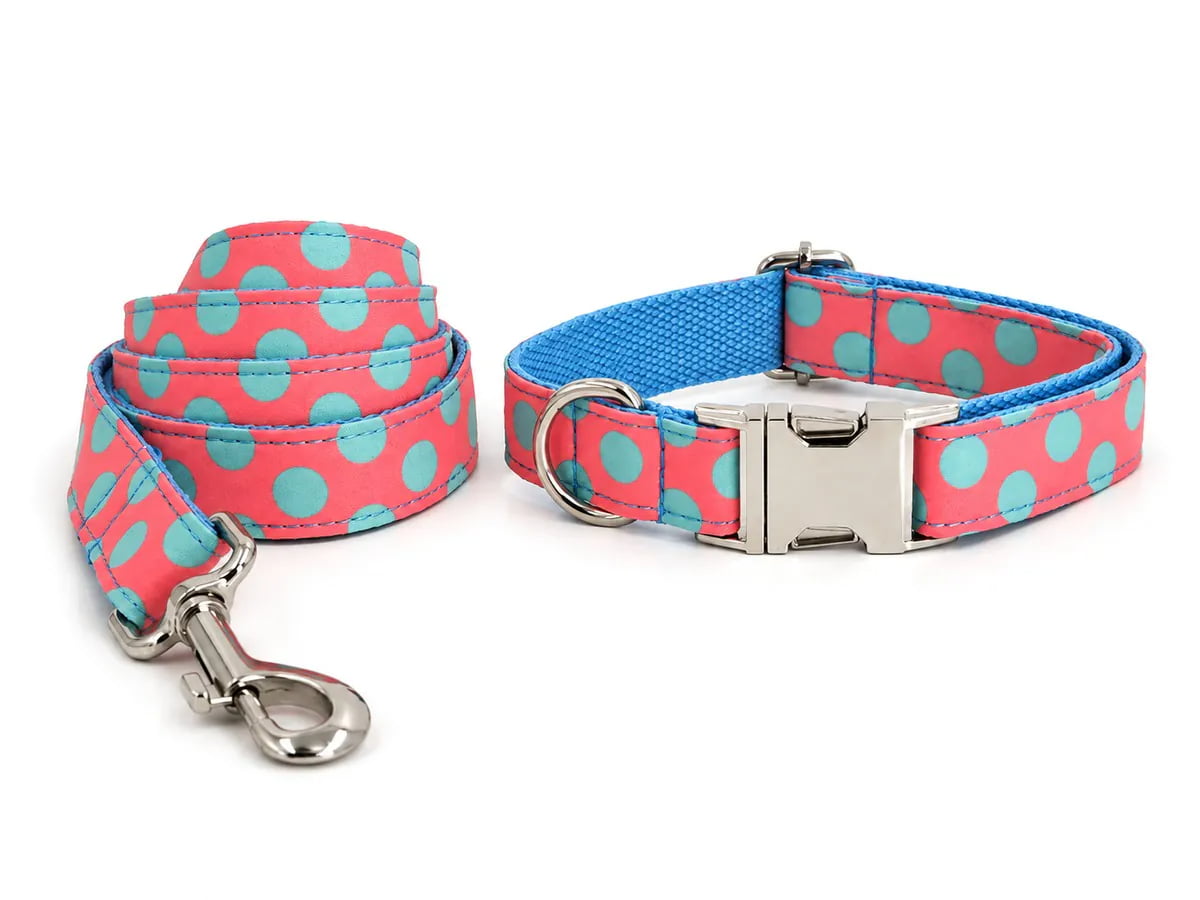 Pink and turquoise polka-dot dog collar and leash set with silver buckles and a matching coiled leash.