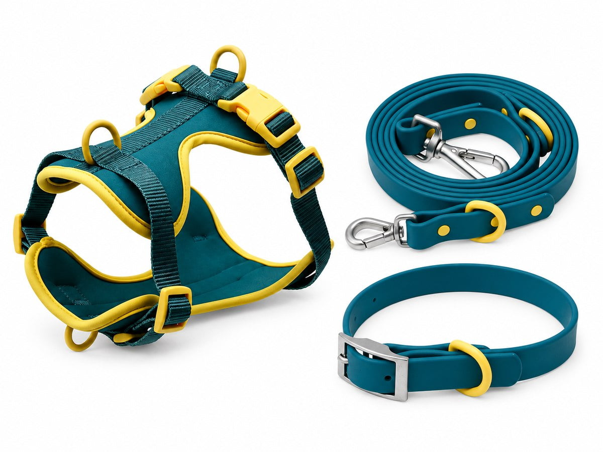 Teal and yellow dog collar, harness and leash set with a padded harness and matching coiled leash.