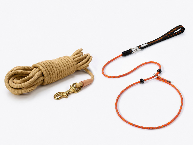Coiled long dog training line with a snap hook and orange rope slip lead with an adjustable loop