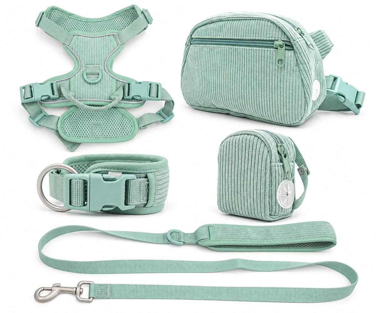 Mint green corduroy five-piece dog walking set with a harness, collar, leash, walking bag and poop-bag holder.