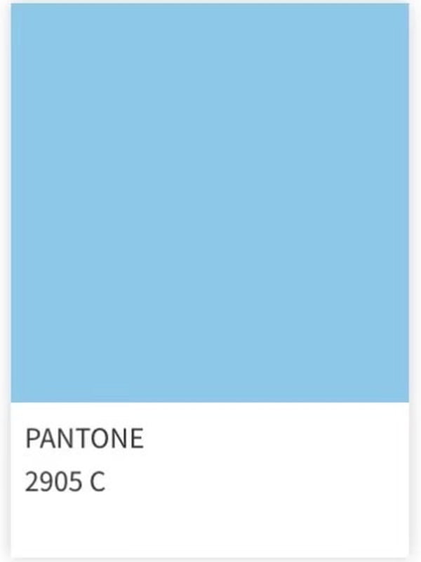 Blue Pantone 2905 C color reference card.