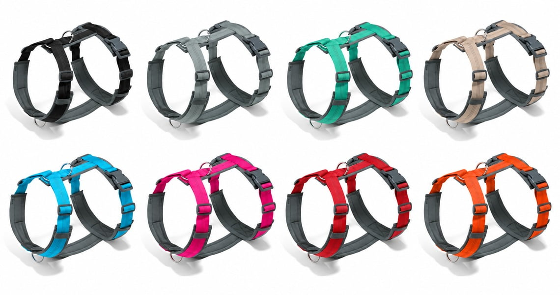 Eight pet harnesses in black, gray, turquoise, beige, blue, pink, red and orange, each with gray padding.