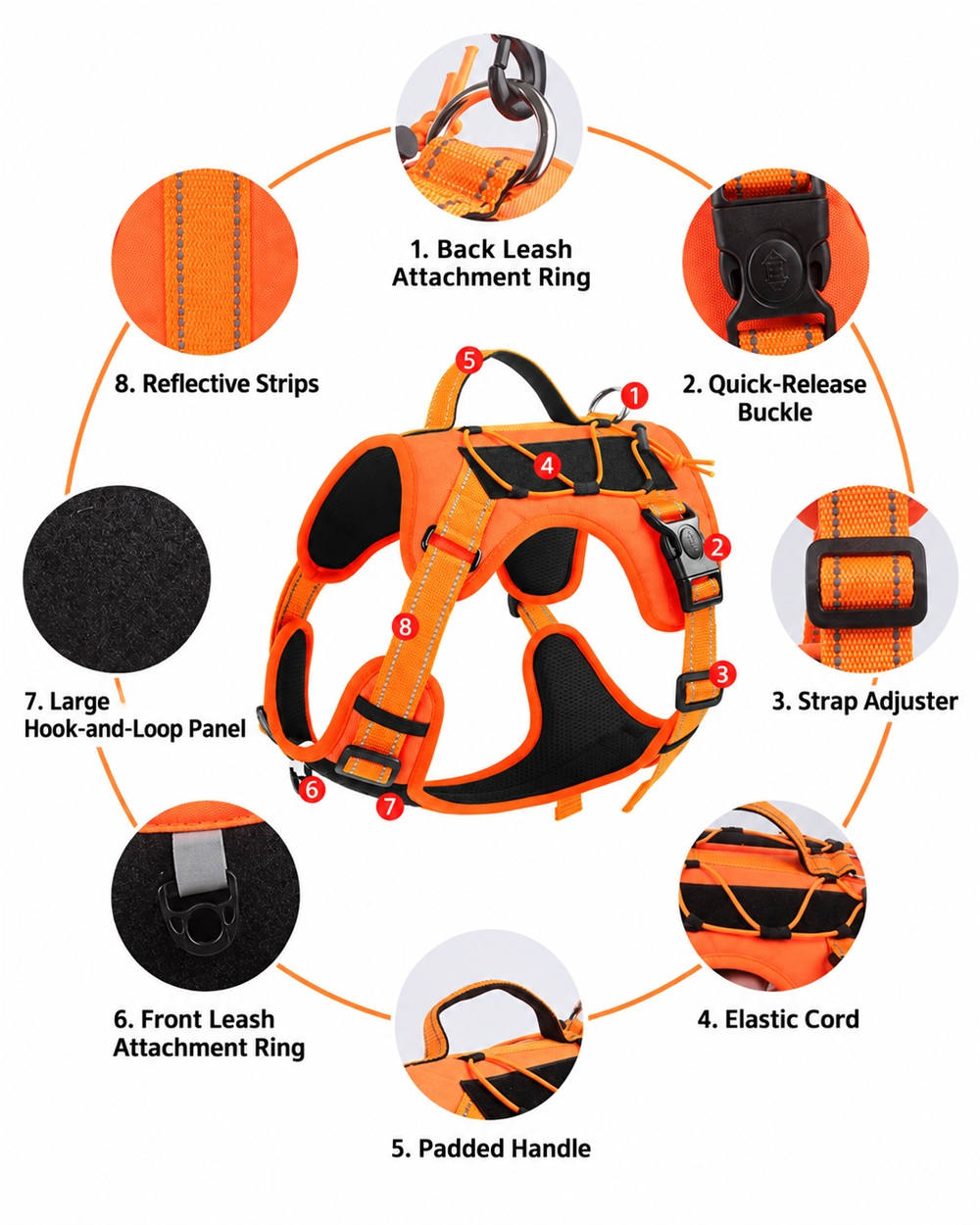 Orange pet harness construction details showing front and back leash attachment rings, a padded handle, quick-release buckle and strap adjusters.