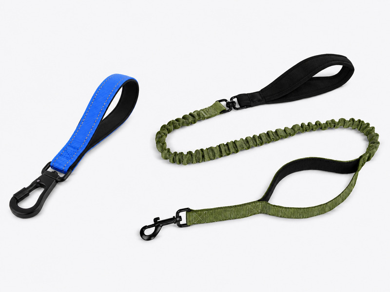 Blue short dog leash and green double-handle bungee leash with padded handles and black clips