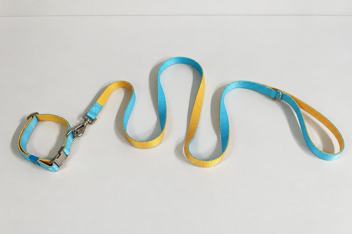 Yellow and blue custom dog collar and leash set from a Pantone color development project.